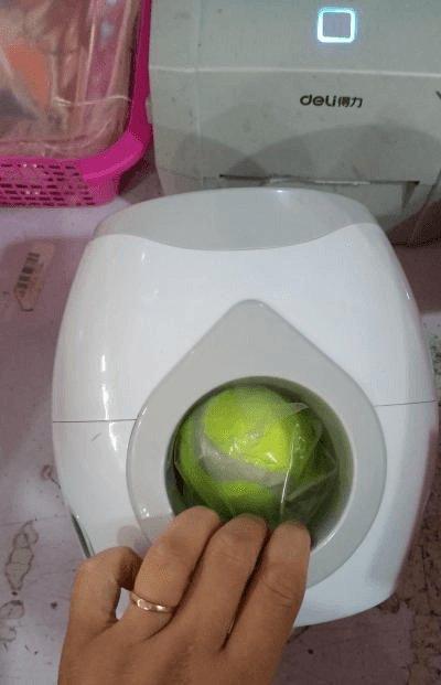 Automatic Pet Training And Feeding System - EZIMO STORE
