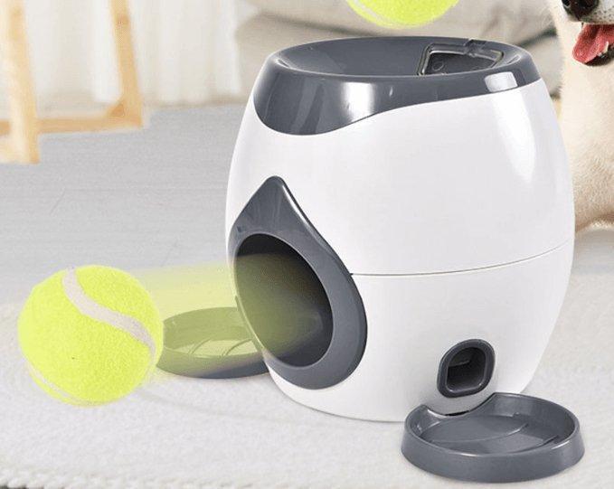 Automatic Pet Training And Feeding System - EZIMO STORE