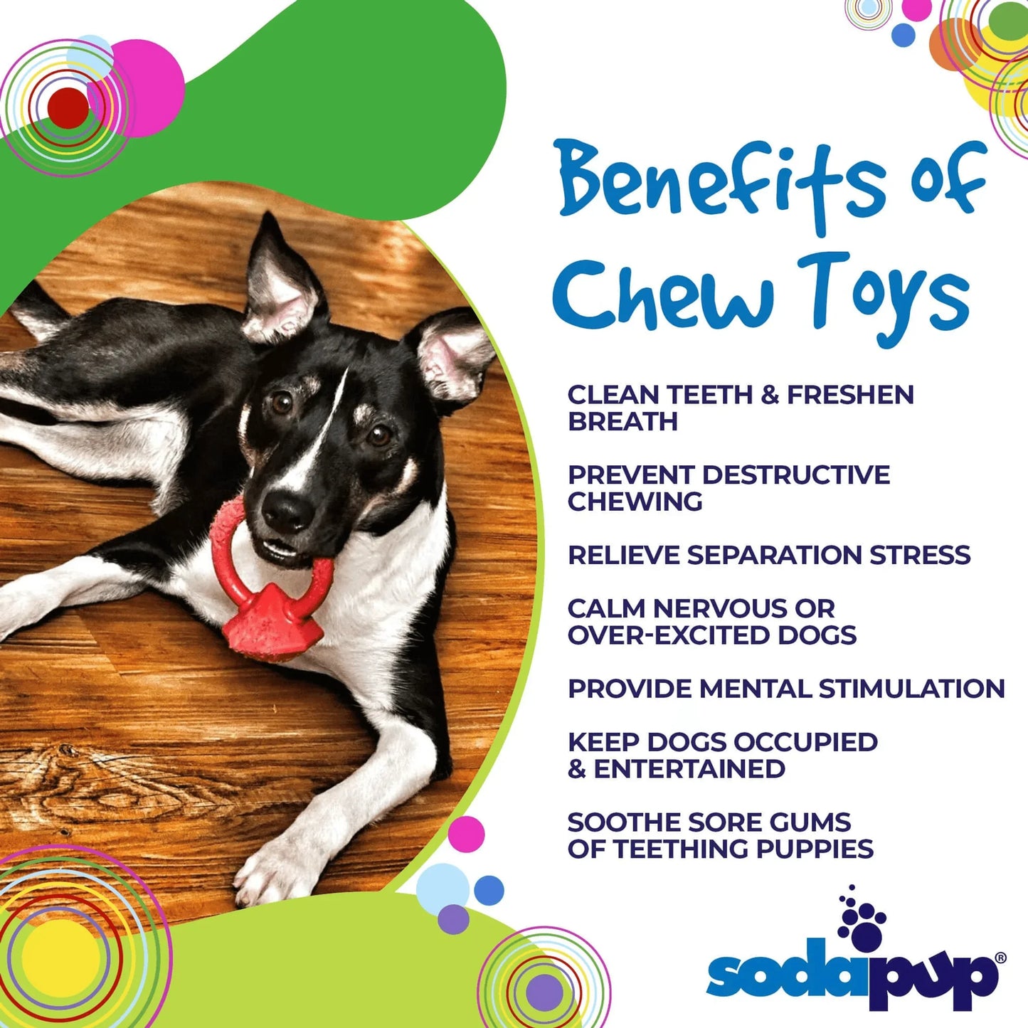 Durable Diamond Ring Teething Toy for Aggressive Chewers - EZIMO STORE