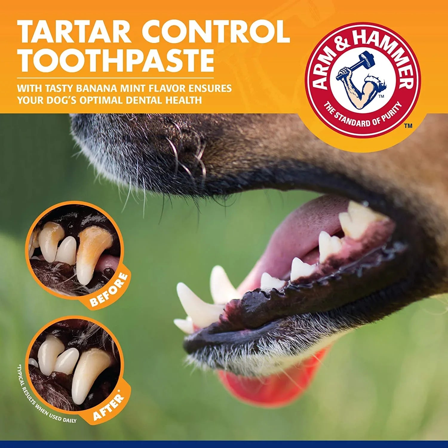 for Pets Tartar Control Kit for Dogs Contains Toothpaste, Toothbrush & Fingerbrush Reduces Plaque & Tartar Buildup, 3-Piece Kit, Banana Mint Flavor (Pack of 1) - EZIMO STORE